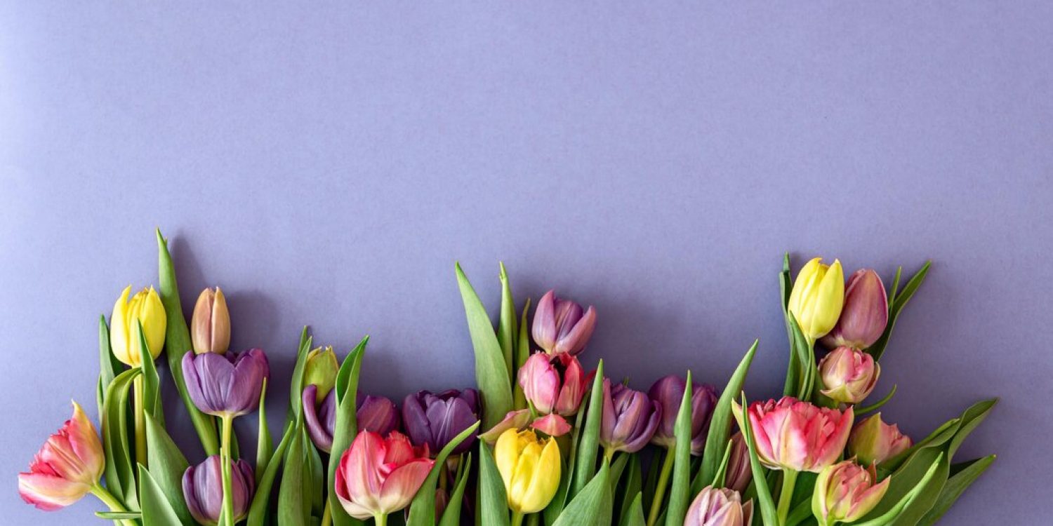 8.mart